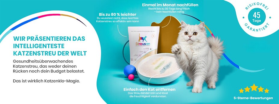 Banner Bild Banner Bild