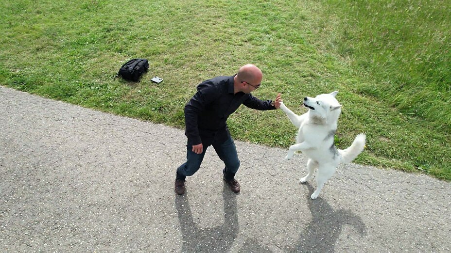 Europas bester Hundetrainer Oliver Ehrentraut